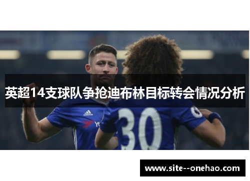 英超14支球队争抢迪布林目标转会情况分析