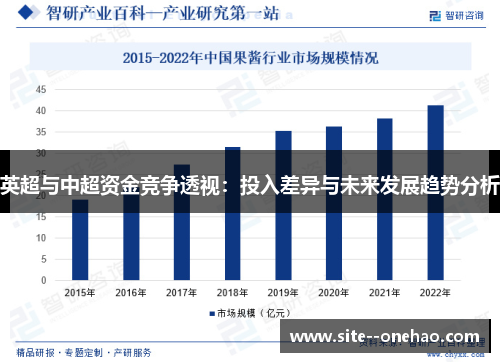 英超与中超资金竞争透视：投入差异与未来发展趋势分析