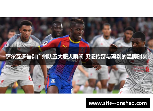 萨尔瓦多告别广州队五大感人瞬间 见证传奇与离别的温暖时刻 萨尔瓦多告别广州队五大感人瞬间 见证传奇与离别的温暖时刻