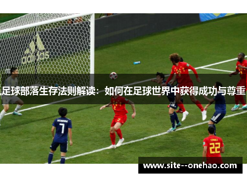 足球部落生存法则解读：如何在足球世界中获得成功与尊重