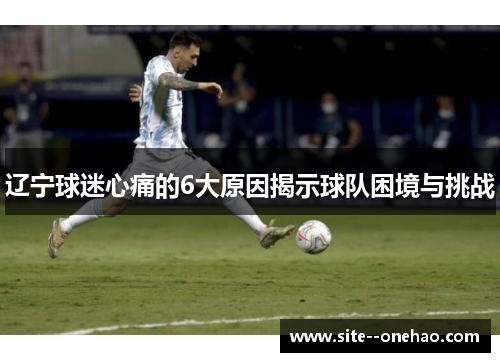 辽宁球迷心痛的6大原因揭示球队困境与挑战