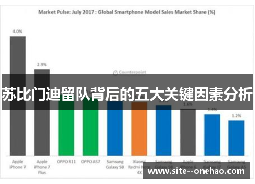 苏比门迪留队背后的五大关键因素分析 苏比门迪留队背后的五大关键因素分析
