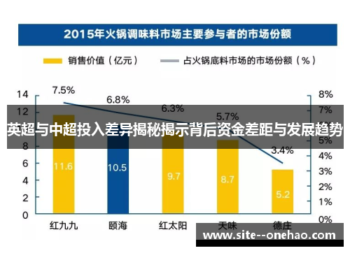 英超与中超投入差异揭秘揭示背后资金差距与发展趋势