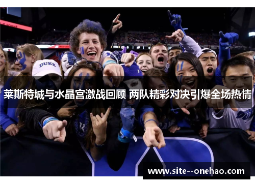 莱斯特城与水晶宫激战回顾 两队精彩对决引爆全场热情