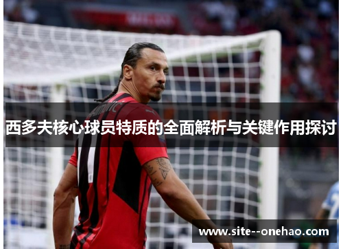 西多夫核心球员特质的全面解析与关键作用探讨 西多夫核心球员特质的全面解析与关键作用探讨