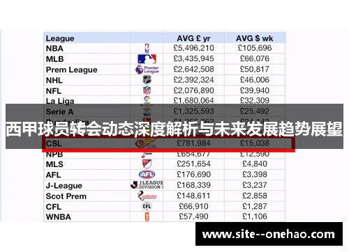 西甲球员转会动态深度解析与未来发展趋势展望 西甲球员转会动态深度解析与未来发展趋势展望
