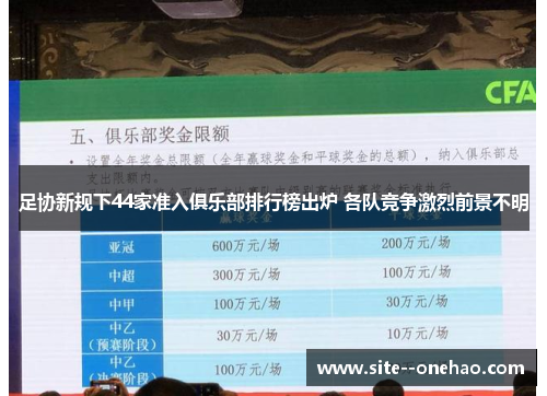 足协新规下44家准入俱乐部排行榜出炉 各队竞争激烈前景不明