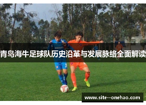 青岛海牛足球队历史沿革与发展脉络全面解读