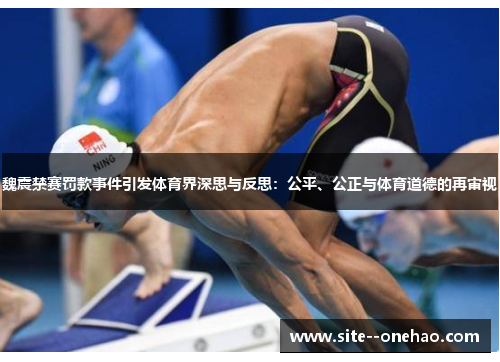 魏震禁赛罚款事件引发体育界深思与反思：公平、公正与体育道德的再审视