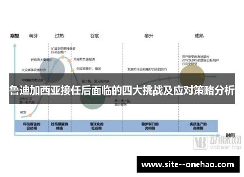 鲁迪加西亚接任后面临的四大挑战及应对策略分析