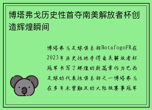 博塔弗戈历史性首夺南美解放者杯创造辉煌瞬间