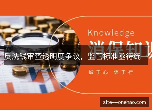 反洗钱审查透明度争议，监管标准亟待统一